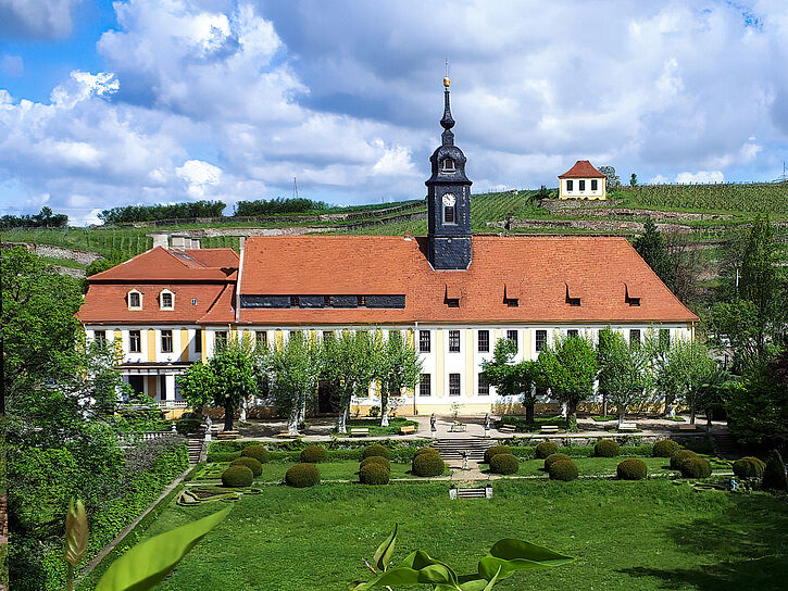 Barockschloss in Diesbar-Seußlitz mit umliegenden Weinbergen.