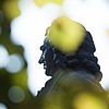 Statue von Johann Sebastian Bach, © Getty Images